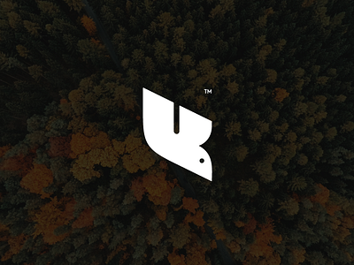 U + K Bird WIP animal bird logo uk