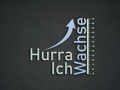 PAPER MEASURE LOGO  DESIGN