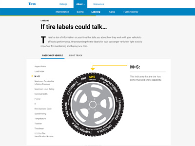 Interactive Tires Graphic car interactive tire visualization