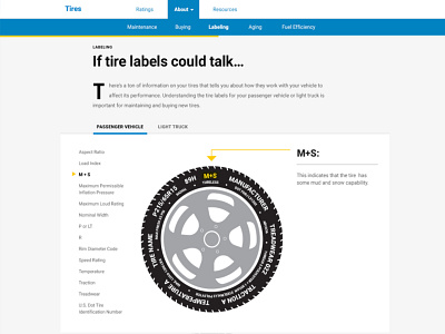 Interactive Tires Graphic