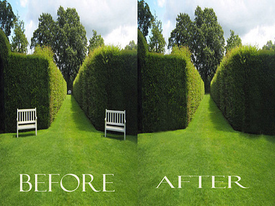 removing of objects photoshop