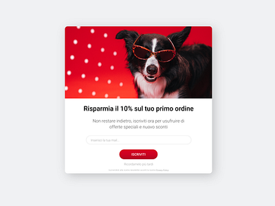Pet Store Website UI Pop-Up design dog graphic design newsletter pet store pop up subscribe ui ux