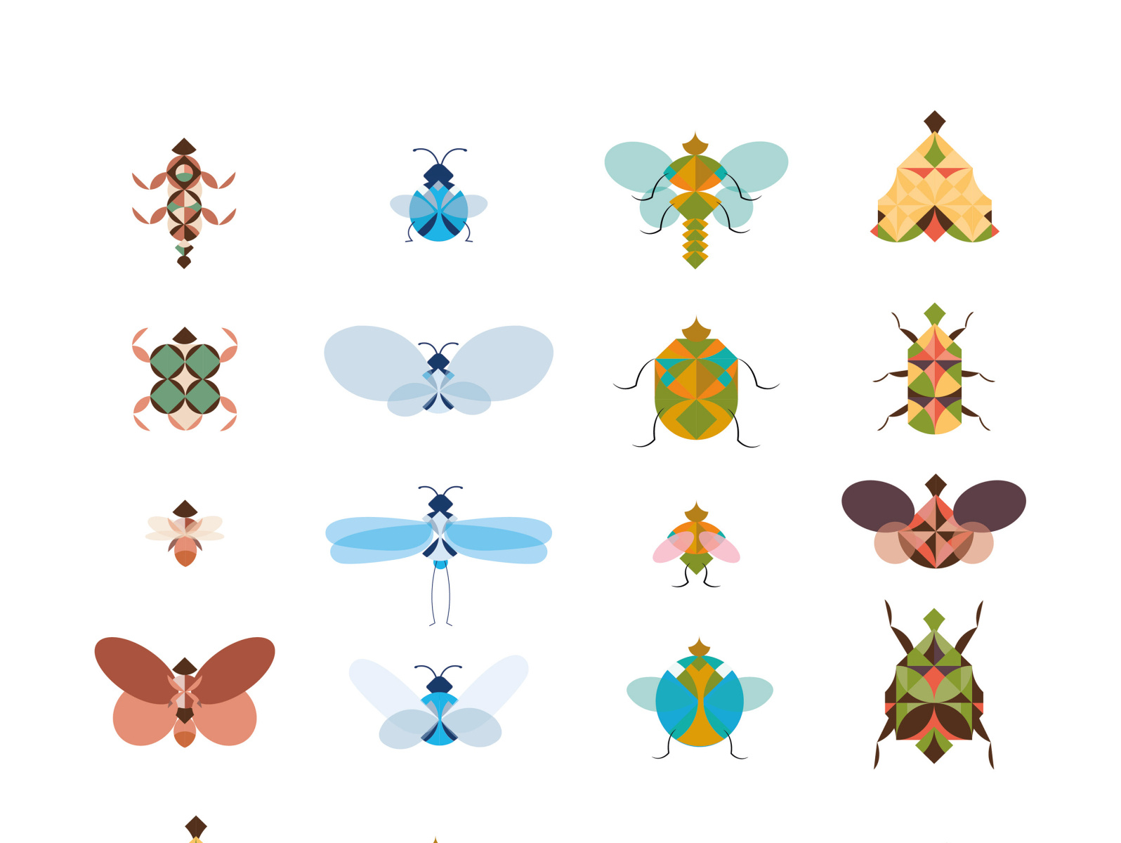 Insects design by María on Dribbble