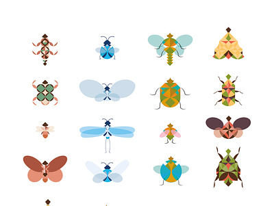 Insects design illustration art illustration design illustrations