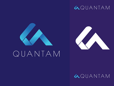 Quantam Logo a logo bank branding business capital company brand economy elegant finance gray grey insurance invest letter market modern professional q logo simple shape logo