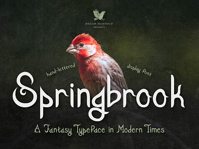Springbrook: A Fantasy Display Typeface dark fantasy design display font display typeface fantasy font fantasy typeface graphic design handlettering lettering typeface typography