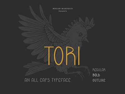 Tori Typeface all caps custom font display font display typeface typography