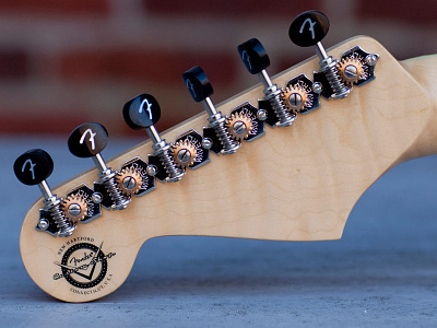 Fender Acoustic Custom Shop acoustic custom fender guitar logo matthew music solis