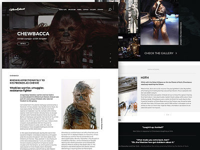 Website for Chewbacca