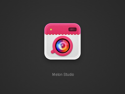 Icon camera pink