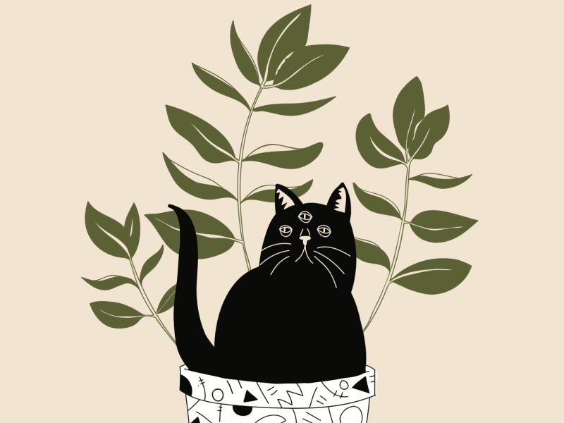 Cat Plant Print by Emily Small by Emily Small on Dribbble