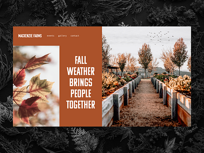 Mackenzie Farms 02 - Website UI design flat graphic design minimal simplistic ui ux web website