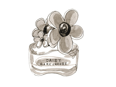 Daisy Branding Illustration