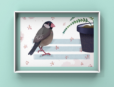 Birdie book illustration illustration illustration art kids