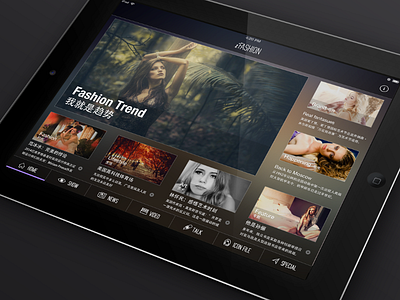 iFashion iPad UI demo ipad ui