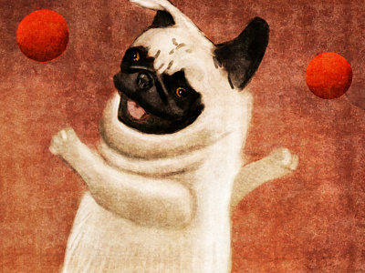 Juggling Pug