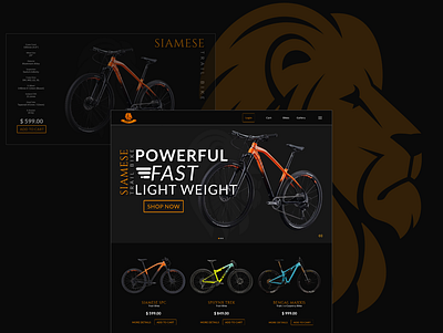 Roar Bikes design ui web