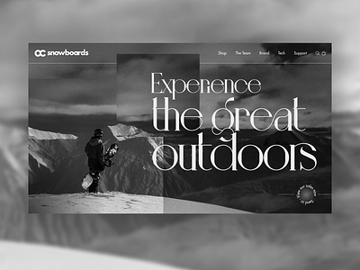 Snowboarding e-commerce website hero
