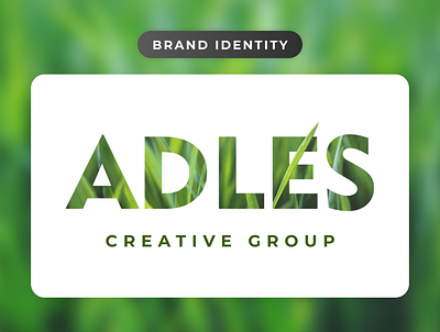 ADLES adobe brand brandbook design graphic graphic design guidebook identity illustrator logo logobook style