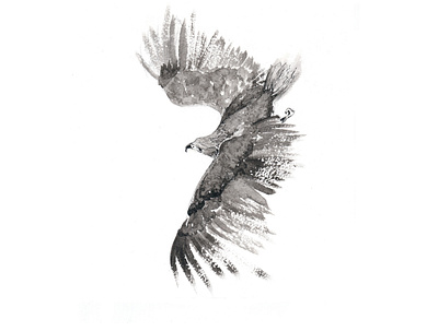 Eagle 1 2d artist artwork bird drawing eagle flying bird freedom graphic hand drawn illustraion ink