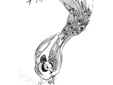 Peacock (fragment) 2d artwork bird design drawing graphic illustration peacokc