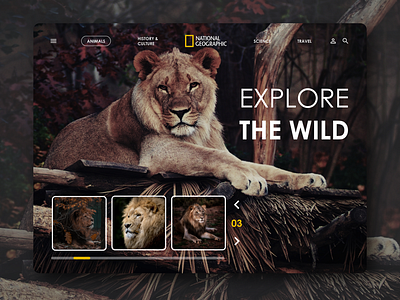 Nat Geo Landing Website Concept UI Design