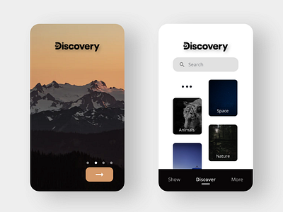 Discovery App Concept Design