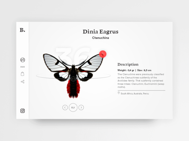 Butterfly Museum Concept 3d architect clean design gif interface minimal museum ui ux webdesign website