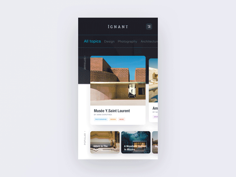 Online Magazine Concept