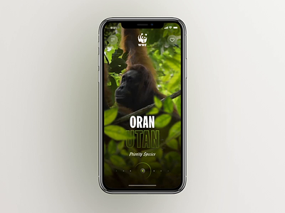 WWF Mobile Concept animal animals animation app card cards cards ui clean concept interface map mobile motion ui ux webdesign