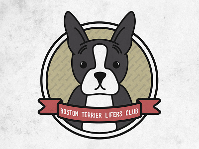 Boston Lifer boston terrier texture