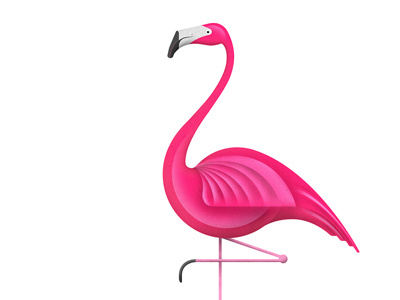 Pink Fury animals bird black design digital flamingo graphic illustration photoshop pink texture zoo