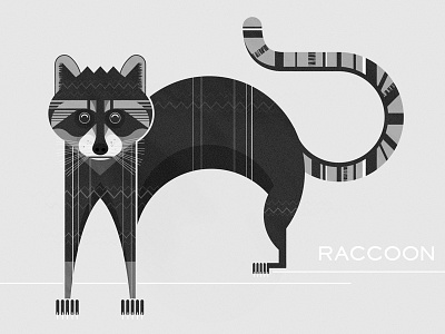 Raccoon animals black design geometric illustration nature raccoon retro texture typography vector white