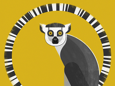 Ring Tailed Lemur animals design geometric graphics illustration lemur nature pets retro vector wildlife zoo