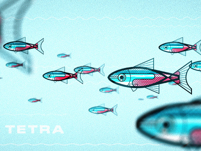 Neon Tetra. tilt shift typography sealife fishes nature wildlife fish neon tetra tetra animals photoshop texture digital design illustration
