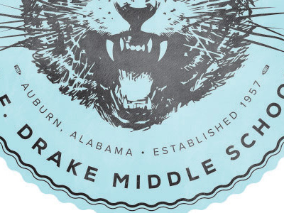 Drake badge branding mark school