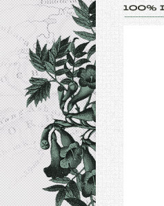 Home Page floral monotone texture