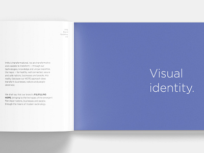 Visual Identity & Brand Guideline brand guideline branding design graphic design minimal typography