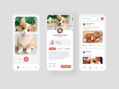 Pet Scan Application app community app dogs interface ios app mobile app petcare pets petshop petstore scanner ui ux