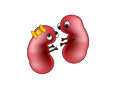 Kidney ai both brothers illustration illustrator internal organs kidney paint pair sister twins vector