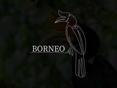 Borneo - Simple One Line Art Logo bird borneo illustration line lineart lododesigm logo minimalist oneline rangkong simple wild