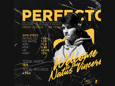 Perfecto x Na'Vi album cover artwork cover artwork cs:go design esports flat graphic design illustration layout poster poster design social media web