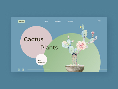 cactus design illustration minimal typography ui ux vector web