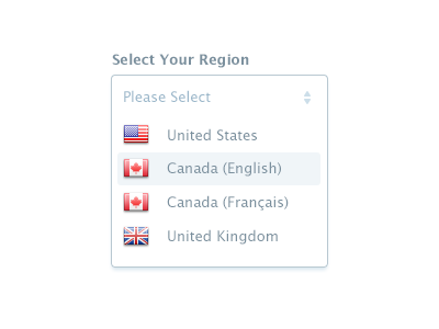 Region Select country dropdown flag form interface region select ui