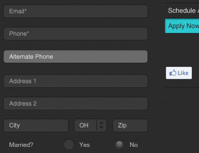 Application Form dark field focus form gray texture