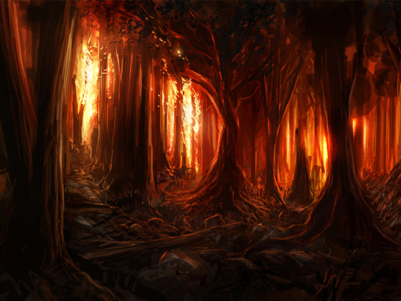 Burning Woods forest fire aflame night trees burning burn flames forest fire