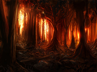 Burning Woods aflame burn burning fire flames forest forest fire night trees