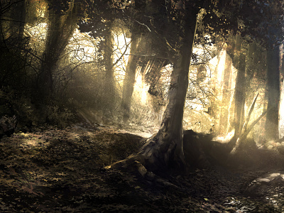 The Golden Woods environment forest landscape leaves morning scenery sunrays trees