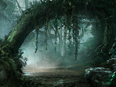 Welcome to the Jungle environment forest jungle landscape rain rainforest trees