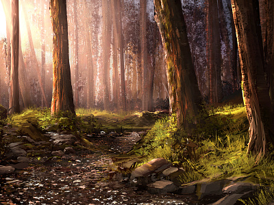 Shallow Creek creek environment forest landscape trees